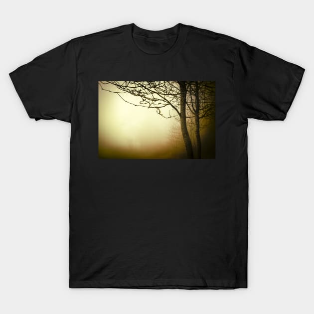 Warm golden fog with trees T-Shirt by heidiannemorris